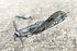 Bf.109K-4 истребитель - 2805 Italeri 1:48