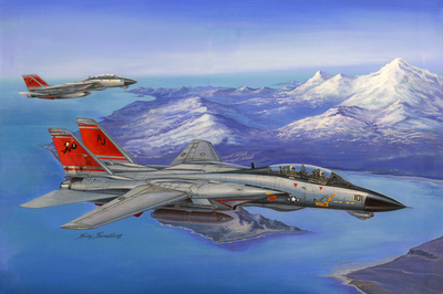 F-14D Super Tomcat - 80368 HobbyBoss 1:48