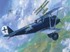 Pfalz D.IIIA - 015 Roden 1:72