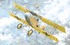 Albatros D.II Oeffag s.53 - 018 Roden 1:72