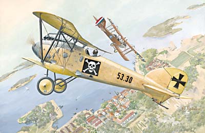 Albatros D.III Oeffag s.153.2 - 022 Roden 1:72