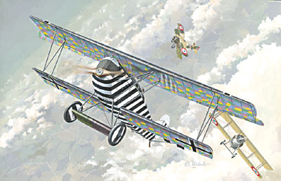 Fokker D.VII срединный - 029 Roden 1:72