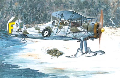 Gloster Gladiator Mk.II - 401 Roden 1:48