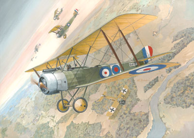 Sopwith 1 1/2 Strutter - 402 Roden 1:48