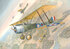 Sopwith 1 1/2 Strutter - 402 Roden 1:48