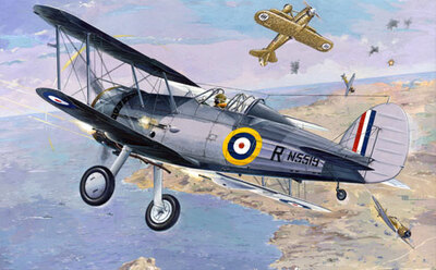 Gloster Sea Gladiator - 405 Roden 1:48
