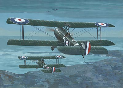 Sopwith 1 1/2 Strutter Comic - 407 Roden 1:48