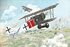 Fokker D.VII - 424 Roden 1:48