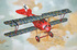 Siemens-Schuckert D.III - 610 Roden 1:32