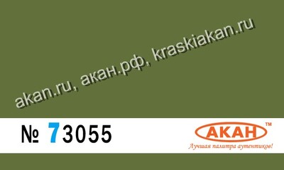Зелёный - 73055 АКАН 10мл