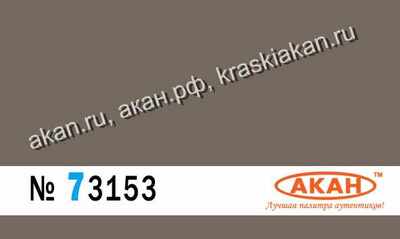 Коричневый (выцветший) - 73153 АКАН 10мл
